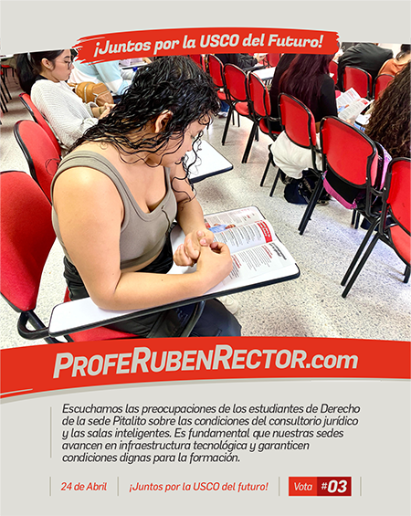 Feed • Redes Sociales12
