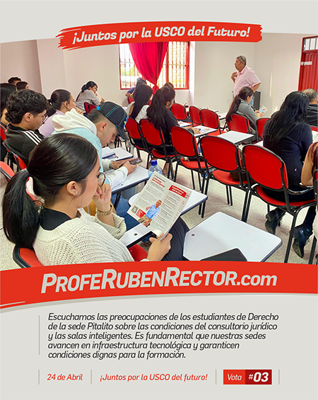 Feed • Redes Sociales13