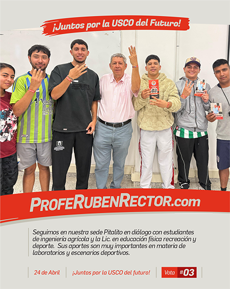 Feed • Redes Sociales4
