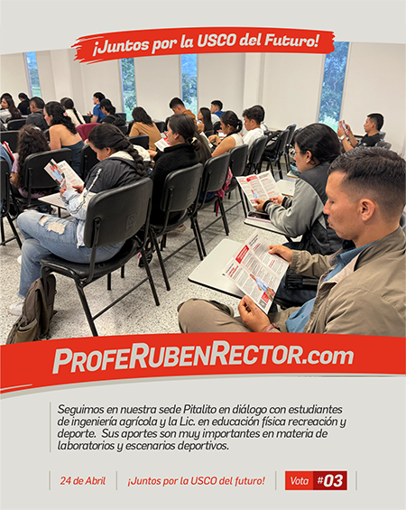 Feed • Redes Sociales5