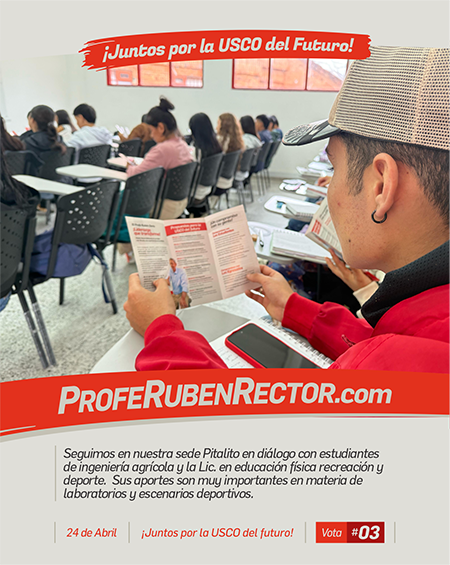 Feed • Redes Sociales6