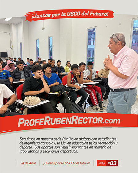 Feed • Redes Sociales7