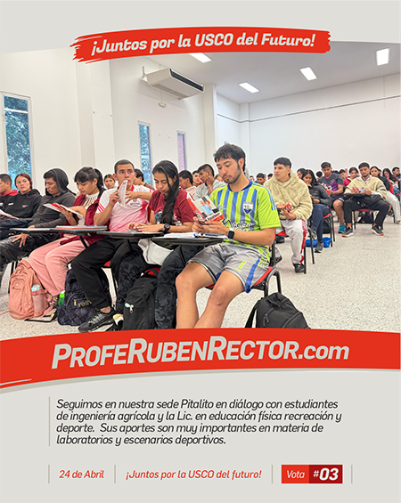 Feed • Redes Sociales8